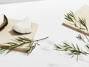 *NEW* Sample & Travel Pack Natural Deodorant - 2 x Tea Tree